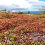 Iiris - Peaceful Lapland Surrounded By Nature *