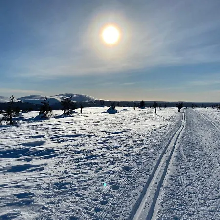 Iiris - Peaceful Lapland Surrounded By Nature