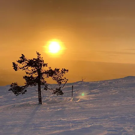 Chalé Iiris - Peaceful Lapland Surrounded By Nature *