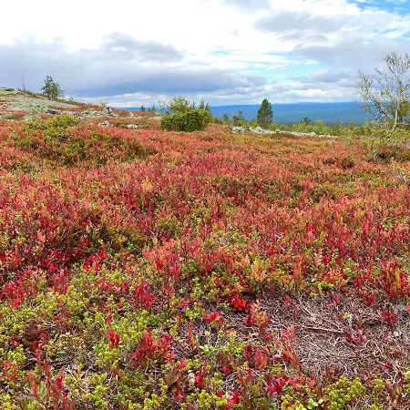 Iiris - Peaceful Lapland Surrounded By Nature *