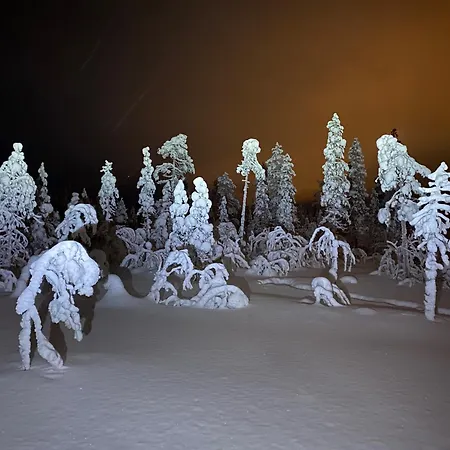 Chalet Iiris - Peaceful Lapland Surrounded By Nature