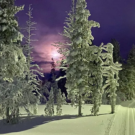 Iiris - Peaceful Lapland Surrounded By Nature Chalé