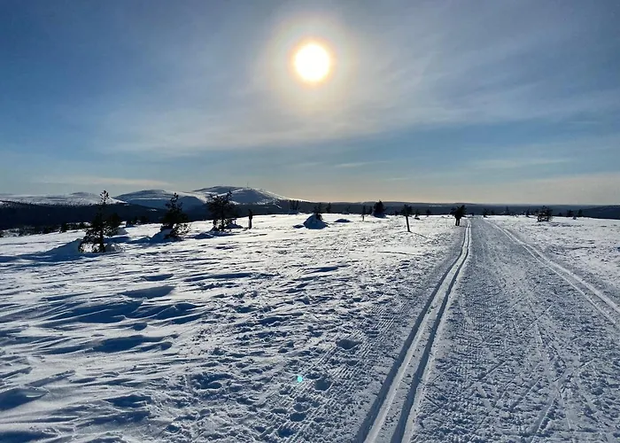 Iiris - Peaceful Lapland Surrounded By Nature