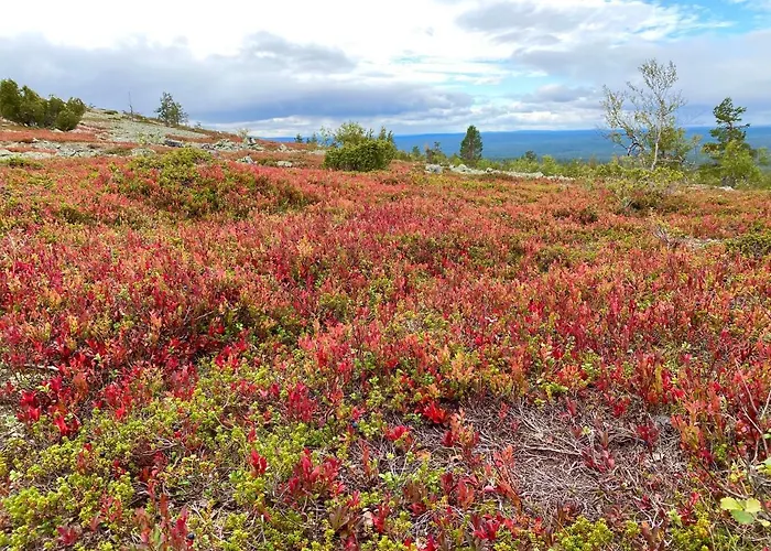 Iiris - Peaceful Lapland Surrounded By Nature *