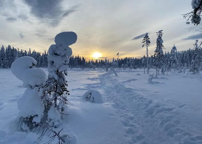 Iiris - Peaceful Lapland Surrounded By Nature