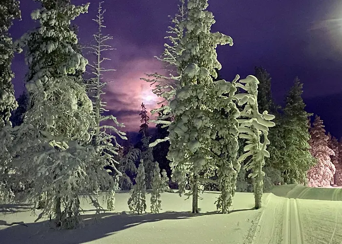 Iiris - Peaceful Lapland Surrounded By Nature Σαλέ