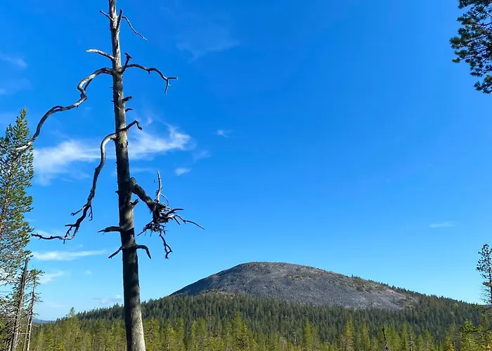 Iiris - Peaceful Lapland Surrounded By Nature Äkäslompolo